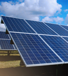 Make the world clean and green